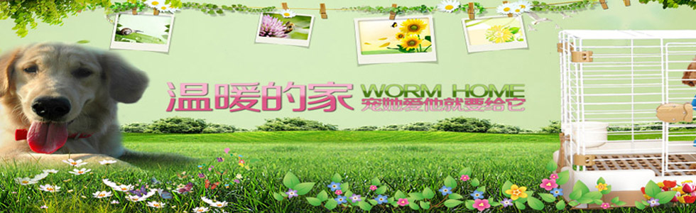 test44